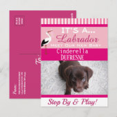 Het is een "New Pet" aankondiging Briefkaart (Voorkant / Achterkant)