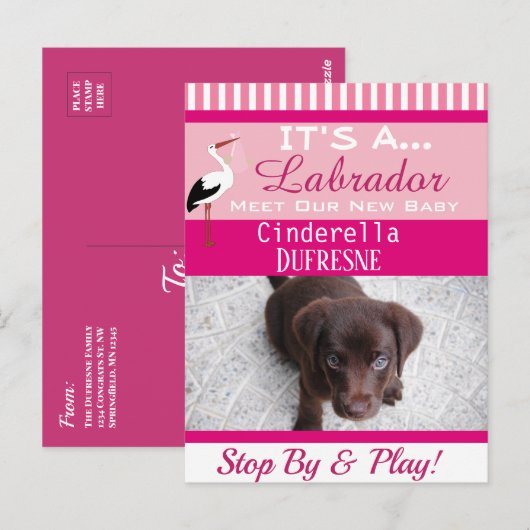 Het is een "New Pet" aankondiging Briefkaart (Voorkant / Achterkant)