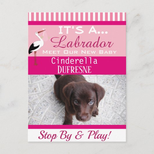 Het is een "New Pet" aankondiging Briefkaart (Voorkant)