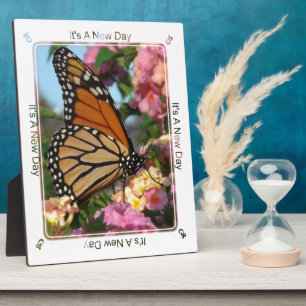 Het is een nieuwe dag (Monarch Butterfly) Fotoplaat