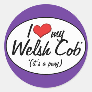 Het is een Pony. Ik hou van mijn Welsh Cob Ronde Sticker