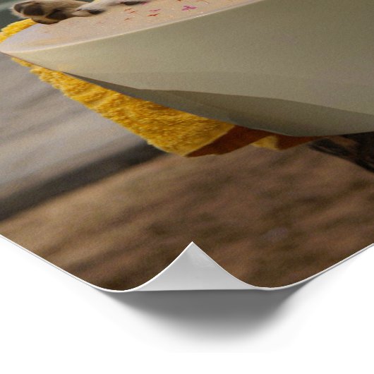 Het is een poster voor het leven van honden (Hoek)