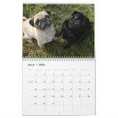 Het is een Pug Calendar Kalender (Mar 2026)