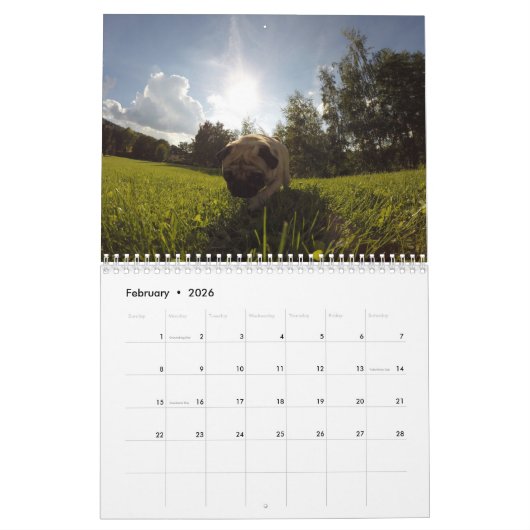 Het is een Pug Calendar Kalender (Feb 2026)