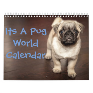 Het is een Pug Calendar Kalender