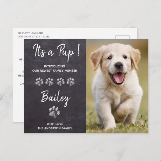Het is een Pup New Pet Puppy Dog Aankondigingskaart (Voorkant / Achterkant)