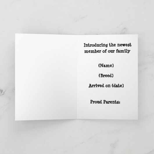 Het is een puppy! aankondiging (Binnen)