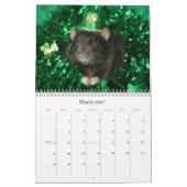 Het is een Rat World Calendar 2016 Kalender (Mar 2027)
