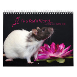 Het is een Rat World Calendar 2016 Kalender