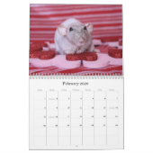 Het is een Rat World Calendar 2016 Kalender (Feb 2026)