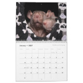 Het is een Rat World Calendar 2016 Kalender (Jan 2027)