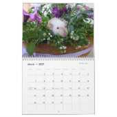 Het is een Rat World Calendar 2016 Kalender (Mar 2027)