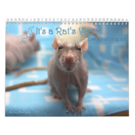 Het is een Rat World Calendar 2016 Kalender