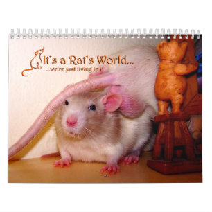 Het is een Rat World Calendar 2016 Kalender