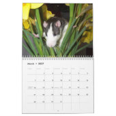 Het is een Rat World Calendar 2016 Kalender (Mar 2027)