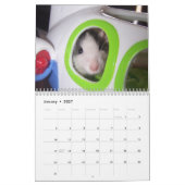 Het is een Rat World Calendar 2016 Kalender (Jan 2027)