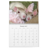 Het is een Rat World Calendar 2016 Kalender (Jan 2027)