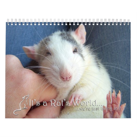 Het is een Rat World Calendar 2016 Kalender (Hoes)