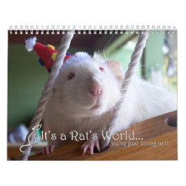 Het is een Rat World Calendar 2016 Kalender