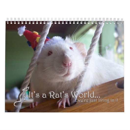 Het is een Rat World Calendar 2016 Kalender (Hoes)