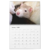 Het is een Rat World Calendar 2016 Kalender (Jan 2027)