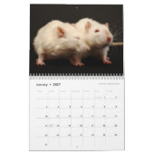 Het is een Rat World Calendar Kalender (Jan 2027)