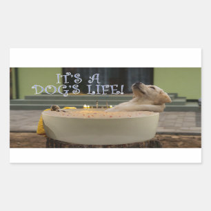 Het is een rechthoekige sticker voor het leven van