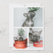 Het is een roofjaar geweest, gepersonaliseerd kers feestdagenkaart (Achterkant)