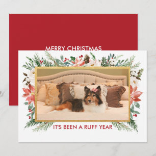 Het is een roos jaar geweest   Hond foto Kerstmis Feestdagenkaart