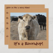 Het is een Roundup. Koeien - vitierritme Kaart (Voorkant / Achterkant)