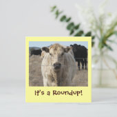 Het is een Roundup. Rundvestratievelebratie Kaart (Staand voorkant)