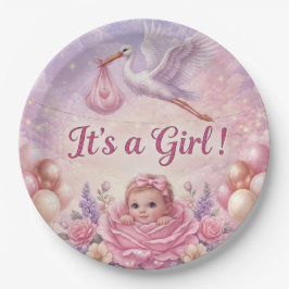 Het is een Roze Ooievaar Baby Shower Meisje Papieren Bordje