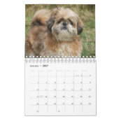 Het is een sjiitische Tzu wereld Kalender (Jan 2027)