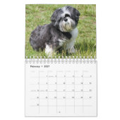 Het is een sjiitische Tzu wereld Kalender (Feb 2027)