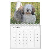 Het is een sjiitische Tzu wereld Kalender (Mar 2027)