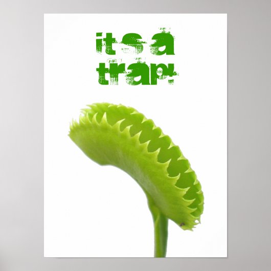 Het is een Trap. Poster (Voorkant)