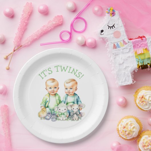 Het is een tweeling! Schattigee jongen tweeling Ba Papieren Bordje (Feest)