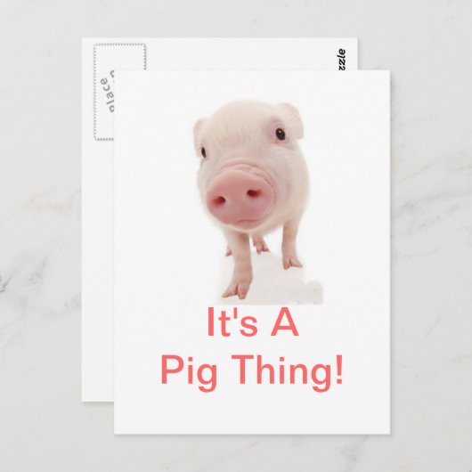 Het is een varken ding briefkaart (Voorkant / Achterkant)