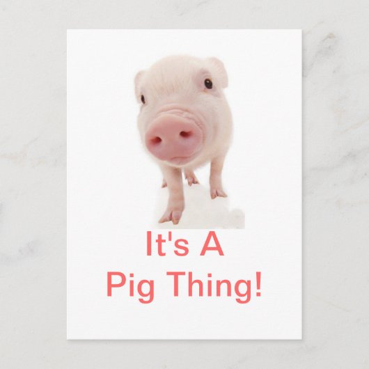 Het is een varken ding briefkaart (Voorkant)