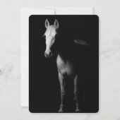 Het is een verrassing voor Paard. Kaart (Achterkant)