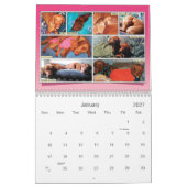 Het is een Vizsla! Agenda Kalender (Jan 2027)