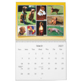 Het is een Vizsla! Agenda Kalender (Mar 2027)