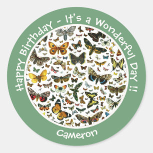 Het is een vlinder verjaardag, collage items voor ronde sticker