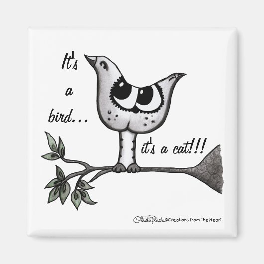 Het is een vogel... het is een kat! -Optische illu Magneet (Voorkant)