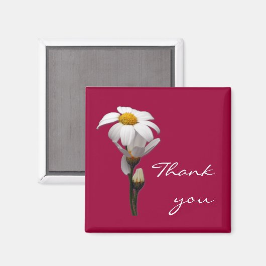 het is een wereld van madeliefje magneet (Voorkant / Achterkant)