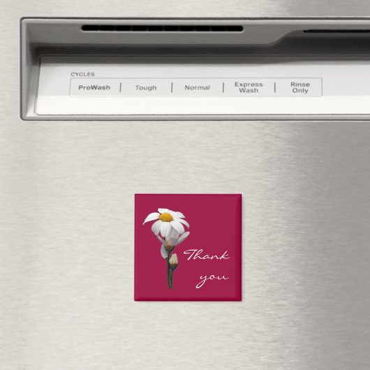 het is een wereld van madeliefje magneet (Insitu (Vaatwasser))