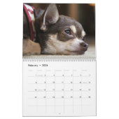 Het is een wereldagenda voor Chihuahua Kalender (Feb 2026)