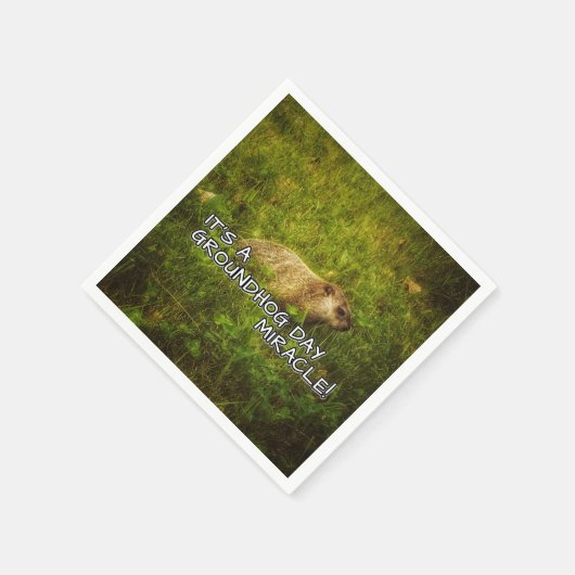 Het is een wonder van Groundhog Day servetten (Hoek)