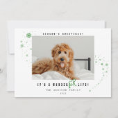 Het is een WonderFUR Life Pet Foto met kerstfeestd Feestdagenkaart (Voorkant)