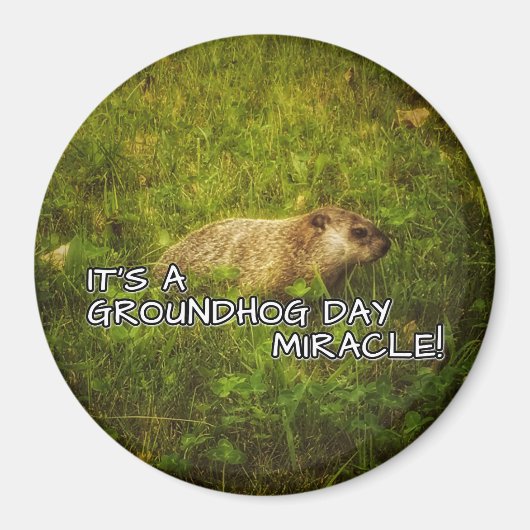 Het is een wondermagneet van een dag op de grond. magneet (Voorkant)